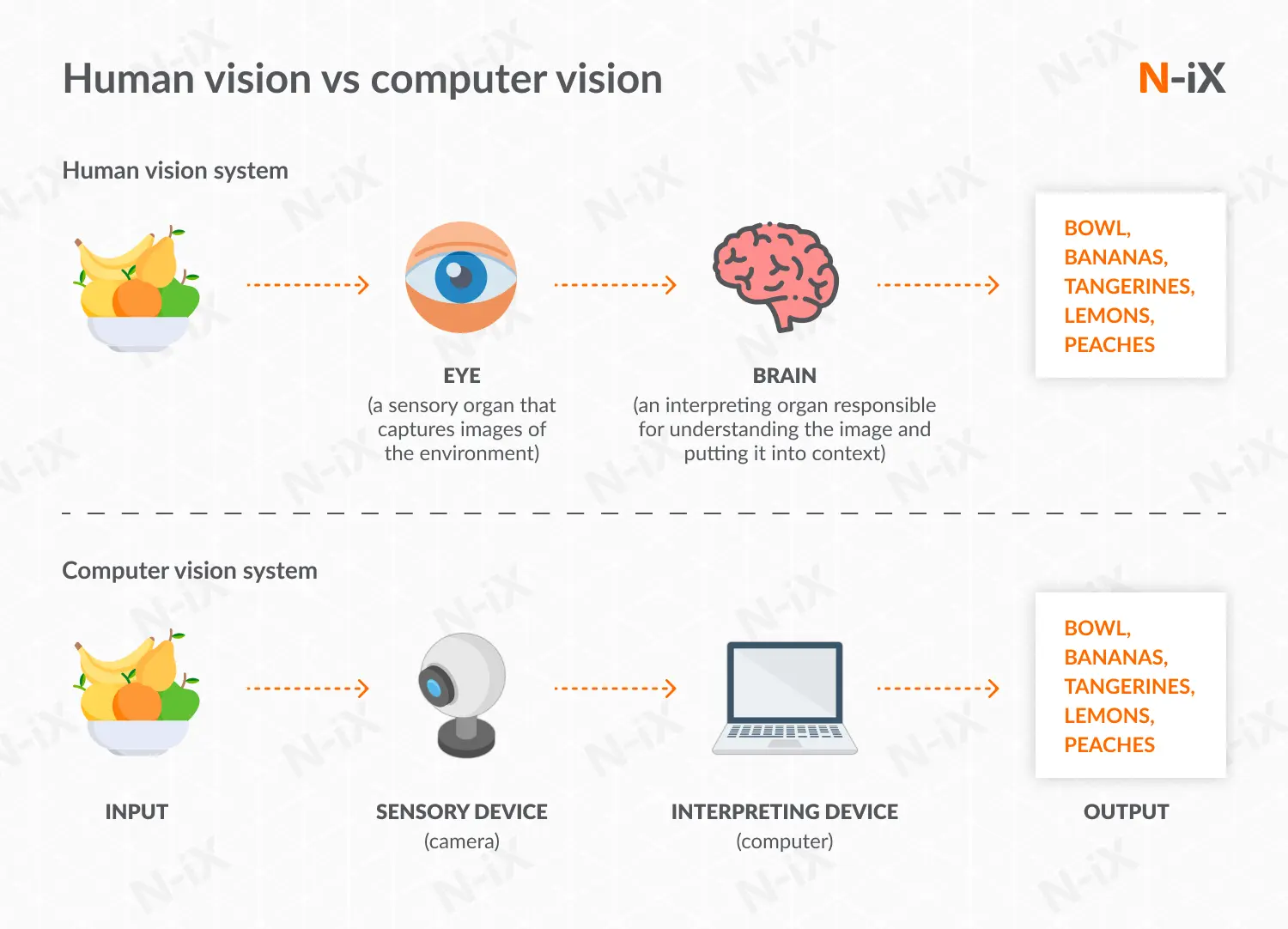 human vs computer vision