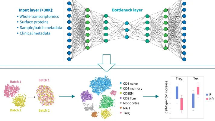 deep learning in immune sysytem