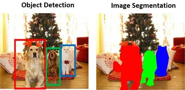 Object Detection vs Image Segmentation