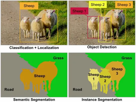 Semantic Segmentation vs Instance Segmentation