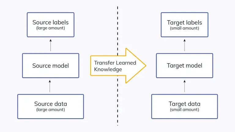 Transfer Learning