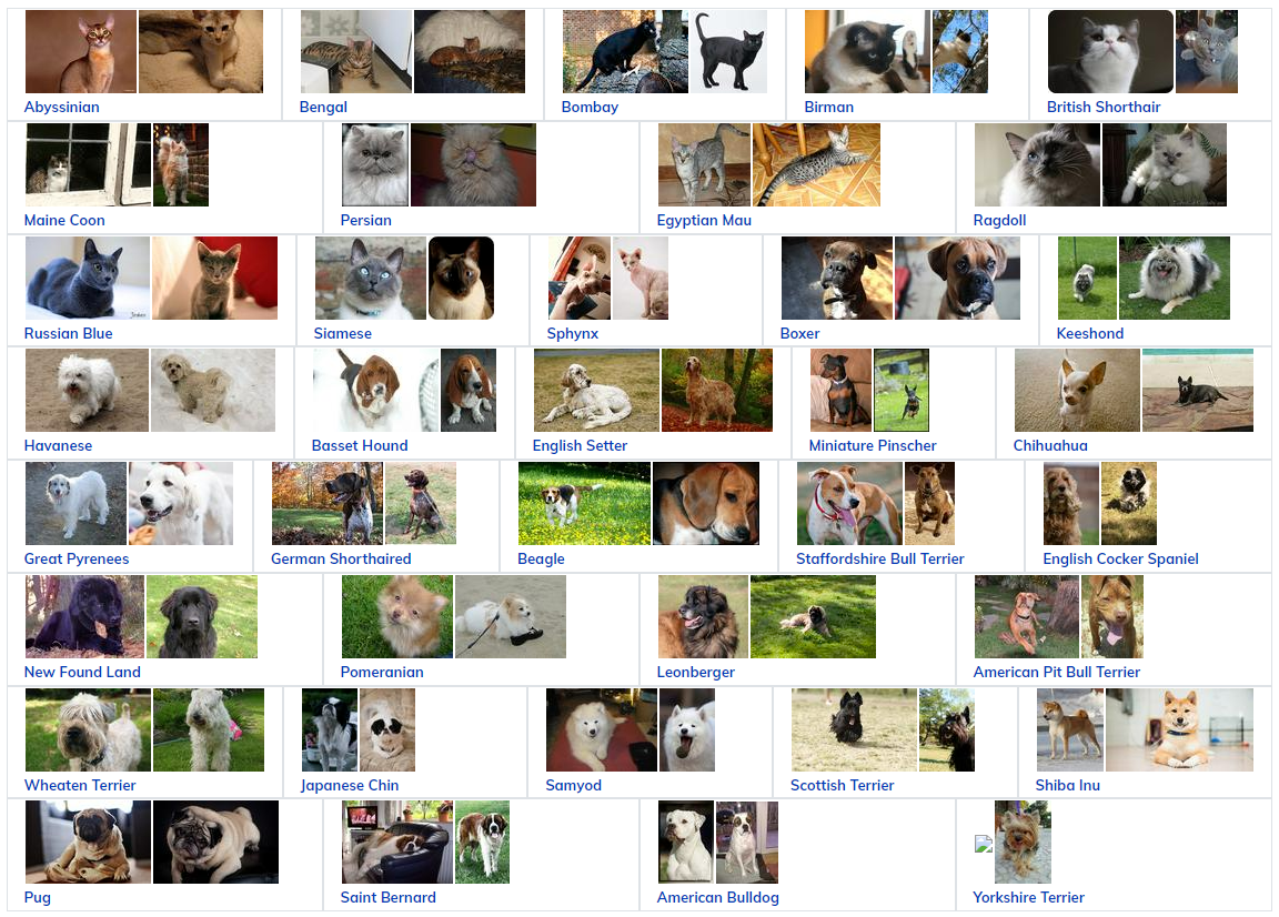 ZeroShot Performance Of CLIP Over Animal Breed Dataset Here're The