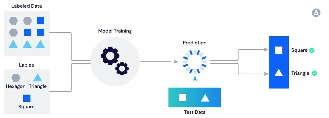 Best approaches for data labeling work in computer vision projects