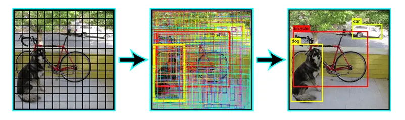 How does the YOLO algorithm help in object detection?