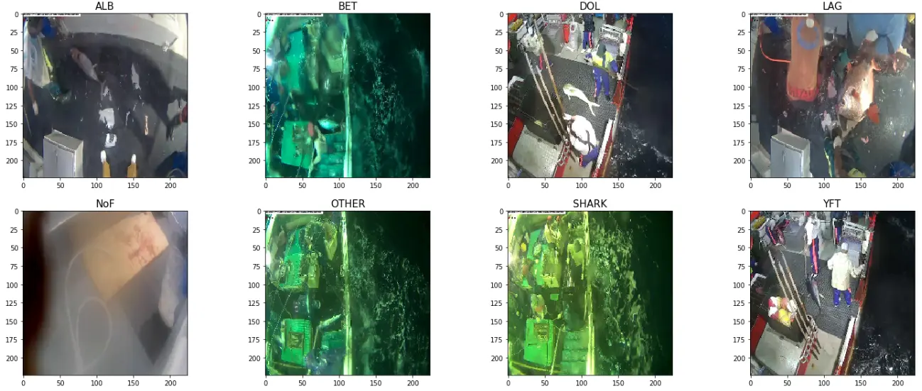 Tutorial To Build AI Model For Fish Detection Using Kaggle Dataset