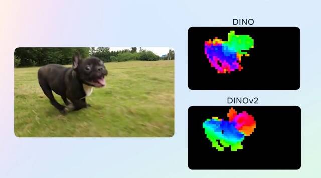 Self-Supervised Learning Approach for Computer Vision with DINOv2