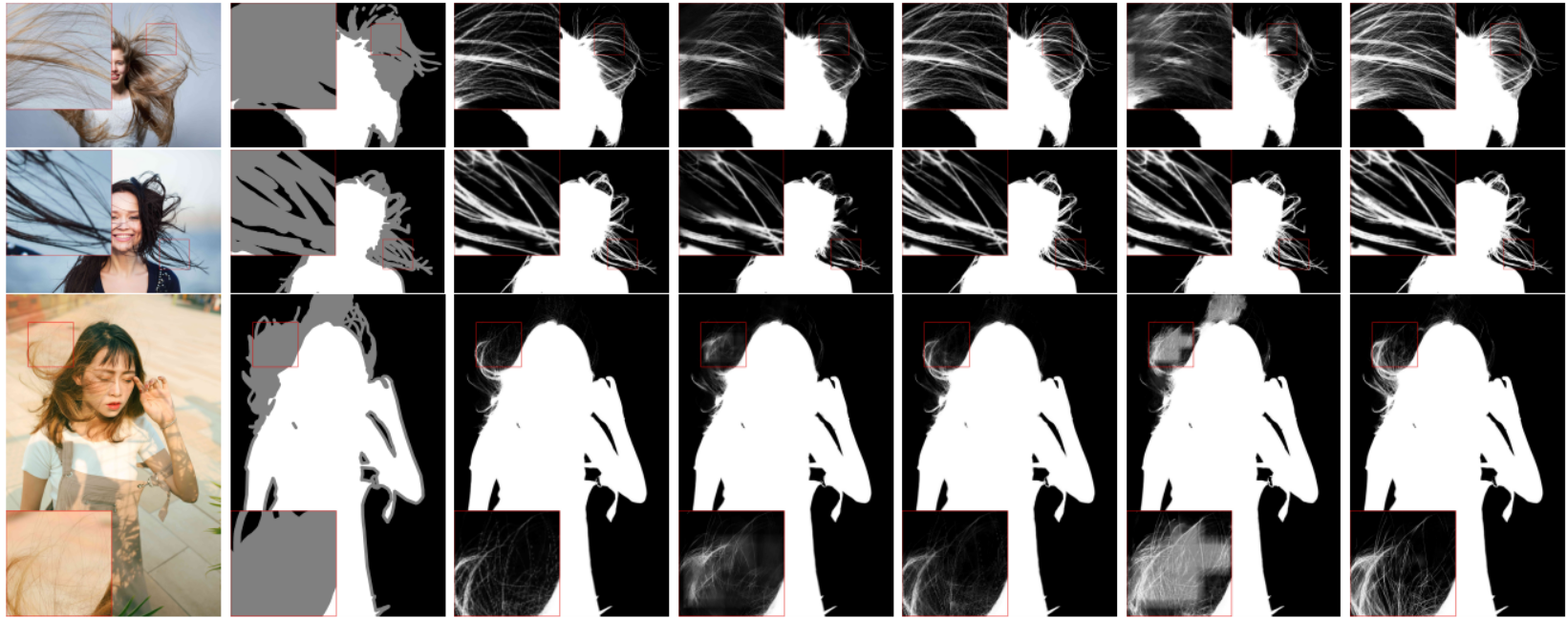 ViTMatte: A Leap Forward in Image Matting with Vision Transformers