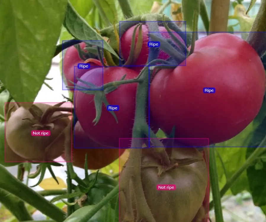 7 Smart Agriculture Use Cases Using Vision AI