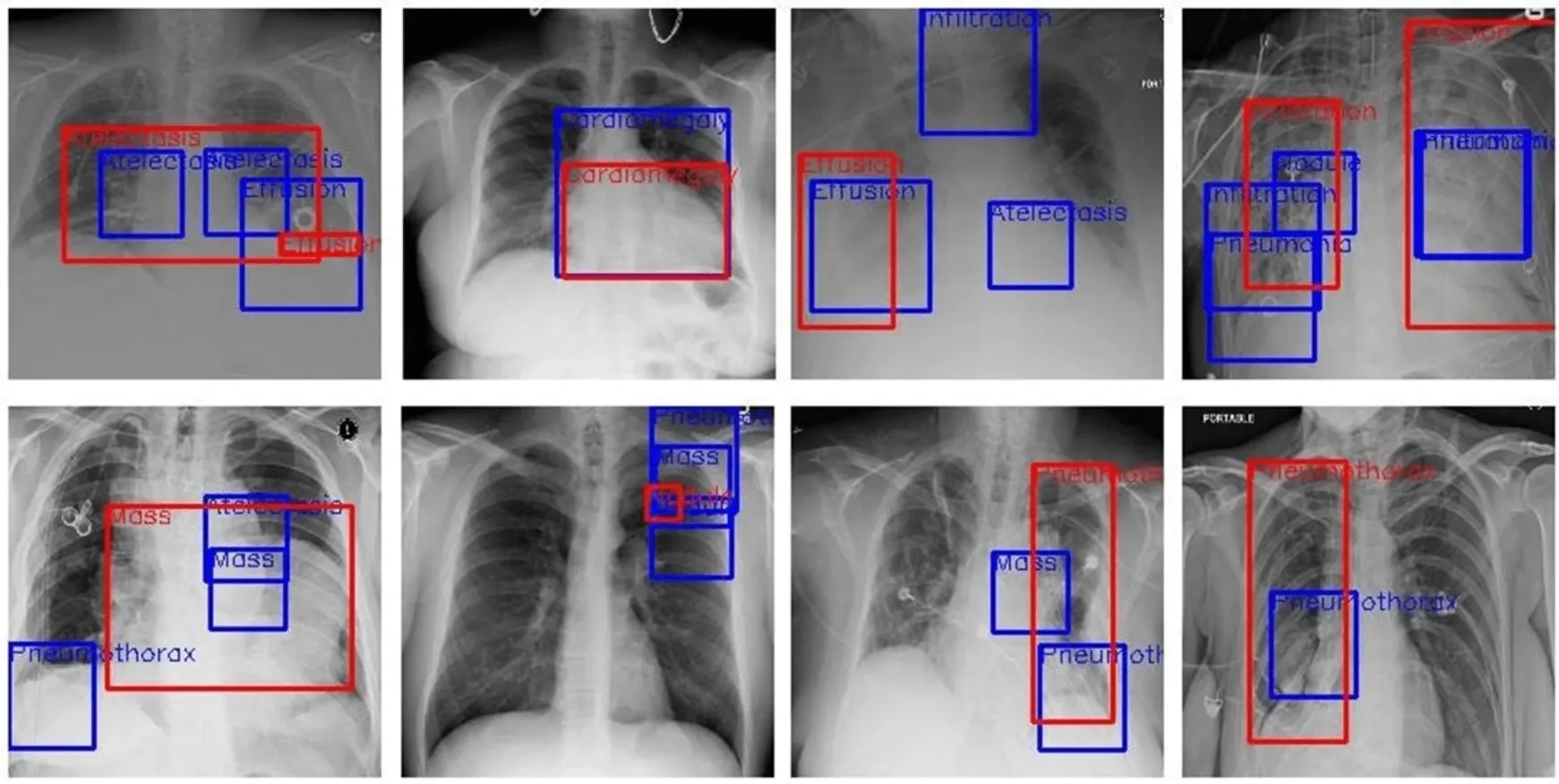 Best Medical AI Annotation & Labeling Tool