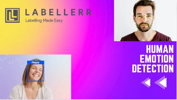 Human Emotion Recognition Annotation using Labellerr