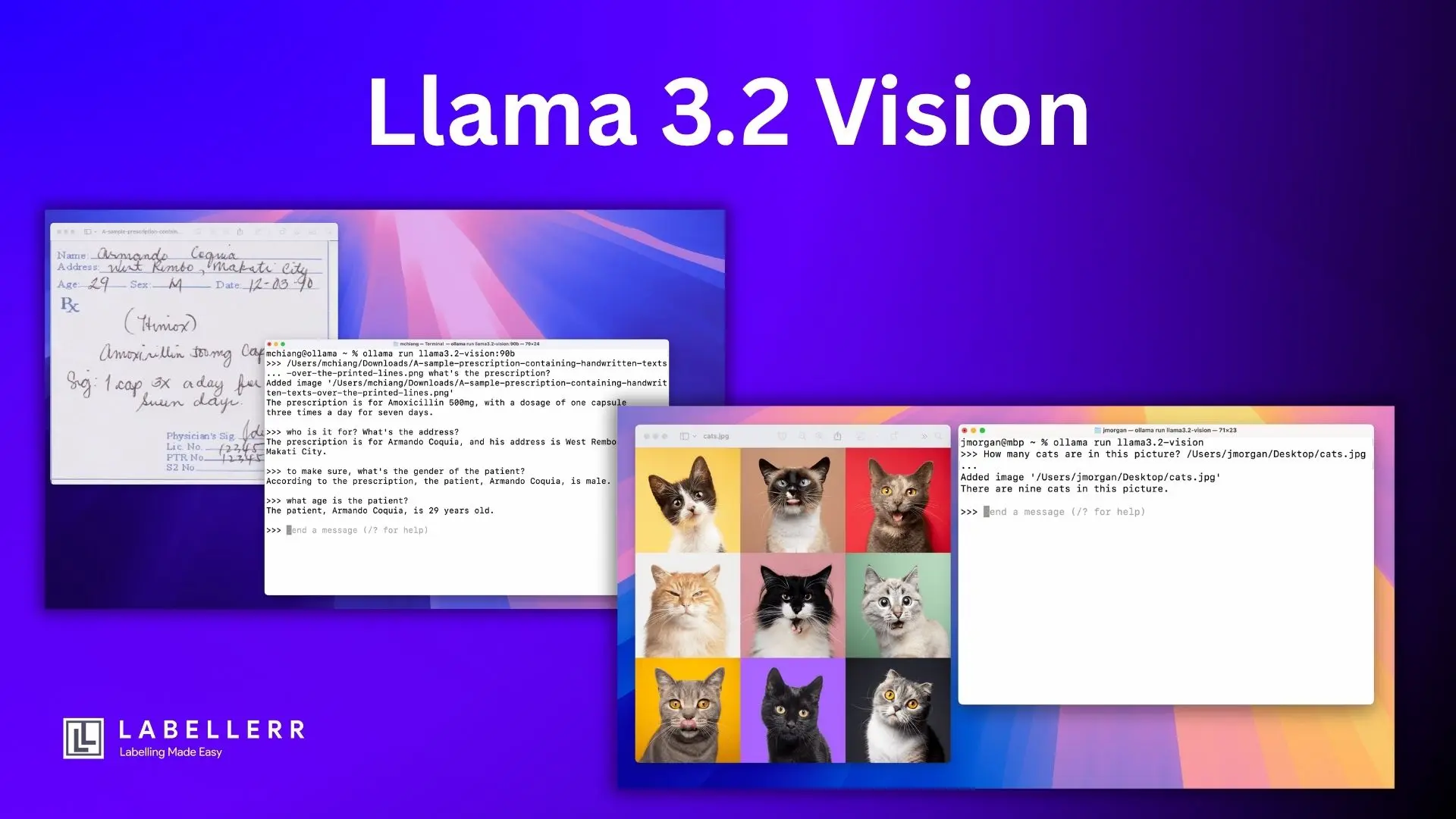 Llama 3.2 vision model performance