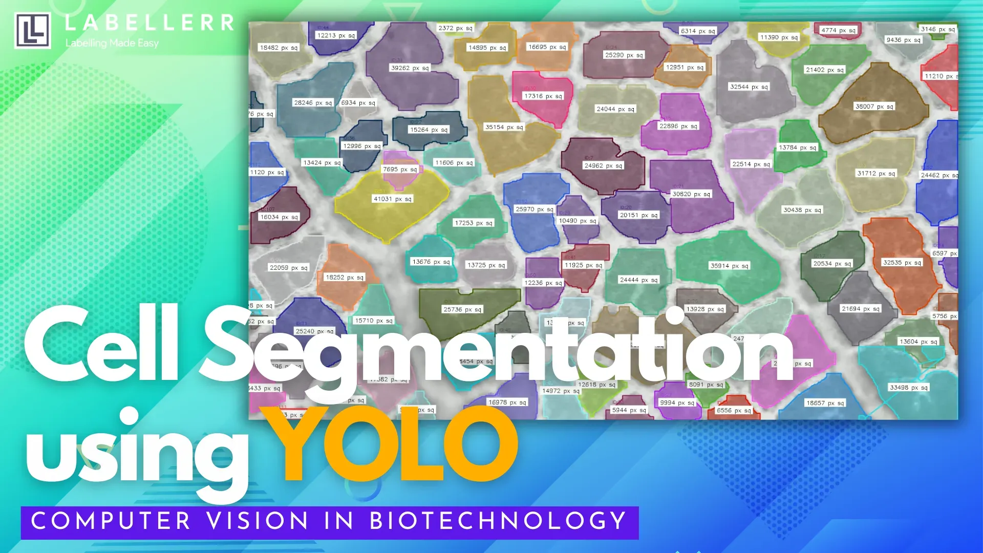 Cell Segmentation System using Labellerr