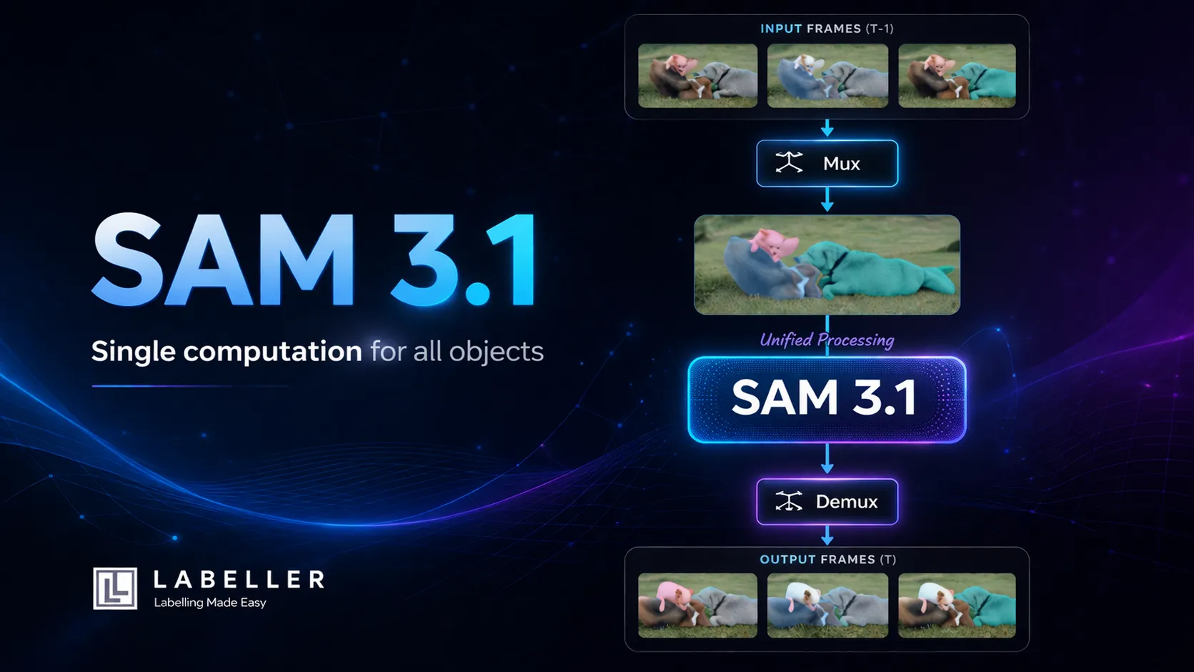 SAM 3.1
