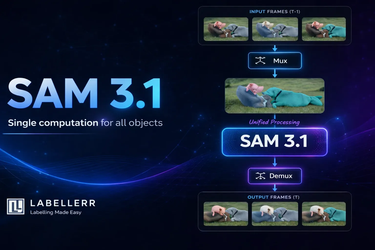 SAM 3.1 