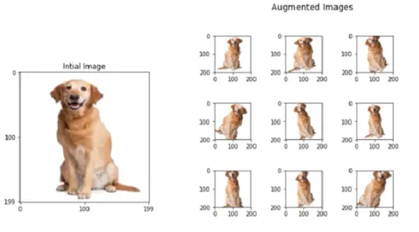 Top 5 image data augmentation techniques to mitigate overfitting in computer vision