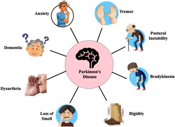 A Detailed Guide- Parkinson's Disease Identification Model