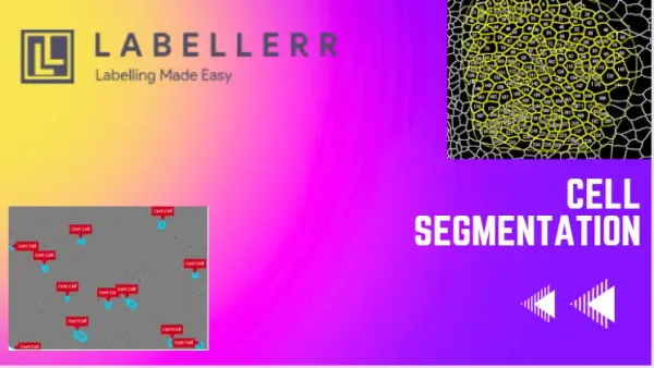 Save Cost For Cell Segmentation Annotation with Labellerr