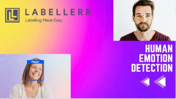 Human Emotion Recognition Annotation using Labellerr