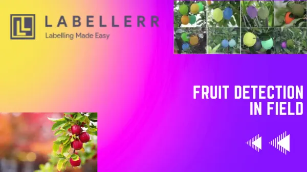 Faster Image Labeling For Fruit Detection With Labellerr