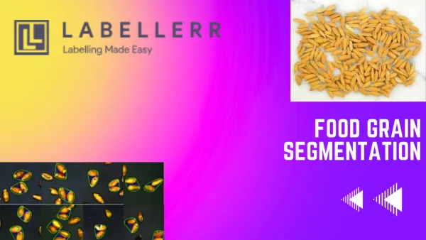 Speed Up Food Grain Segmentation Annotation Using Labellerr