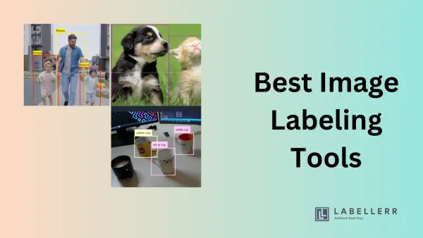 Top 10 Image Labeling and Annotation Tools for 2024