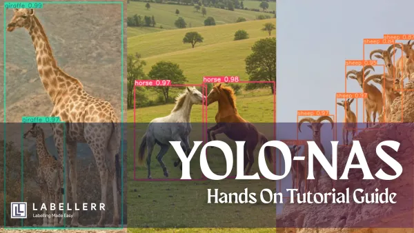 YOLO-NAS: What is, How to Use