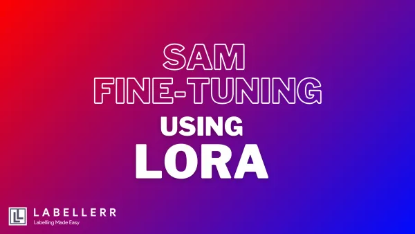 SAM Fine-Tuning Using LoRA