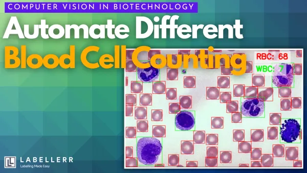 Different Types of Blood Cell using Labellerr