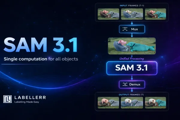 SAM 3.1 